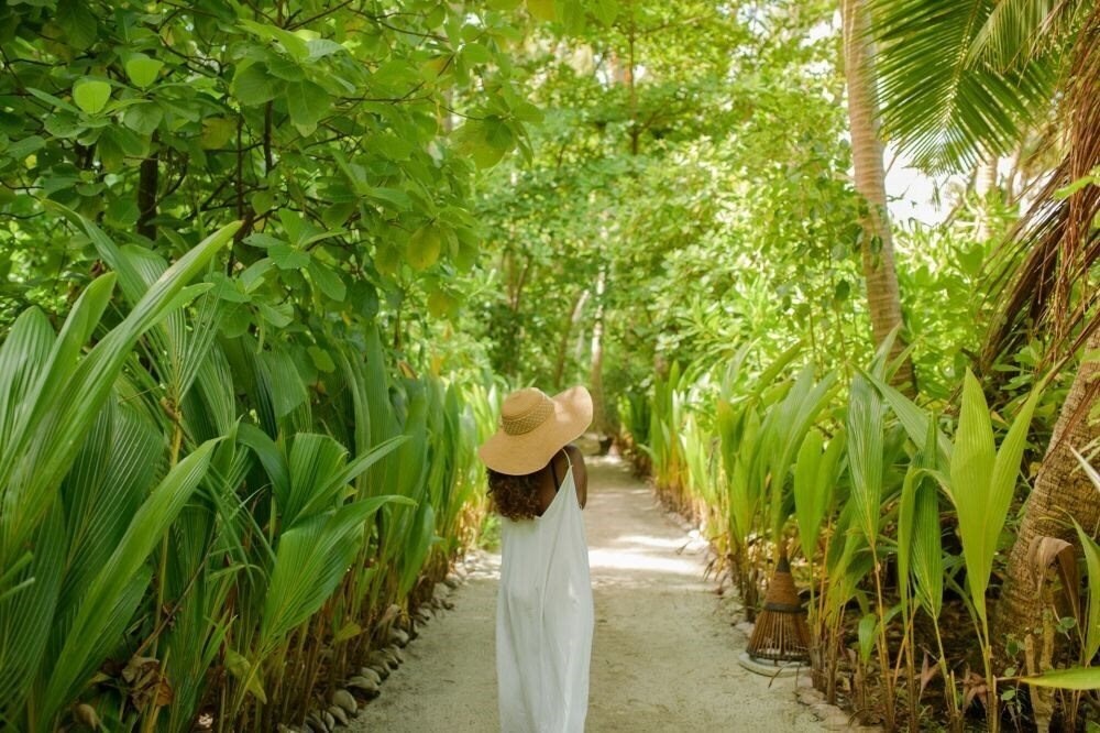 Зображення Yash Nature Resort 4*